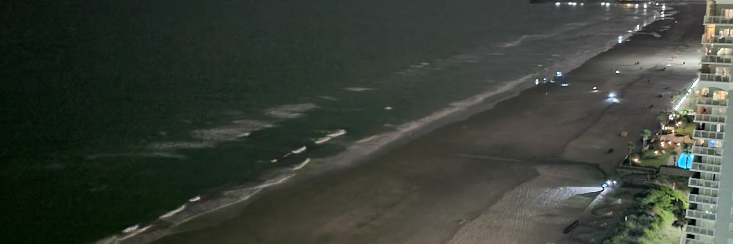 rigneyii's profile banner image