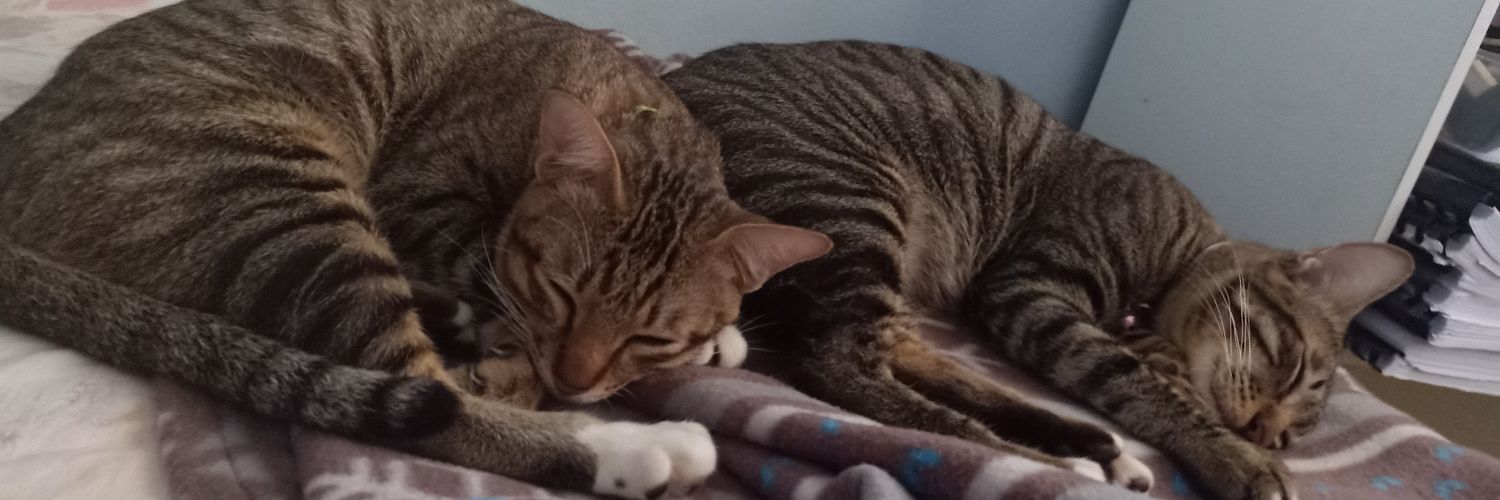 shazbleng's profile banner image