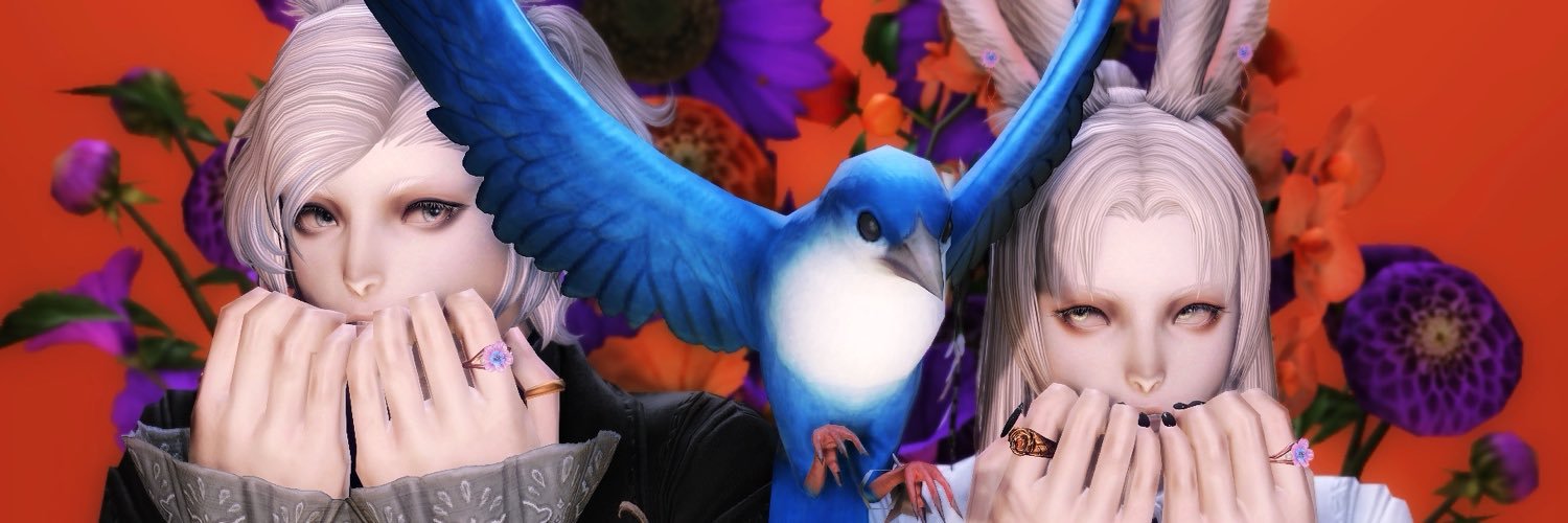 Leeja_FFXIV's profile banner image