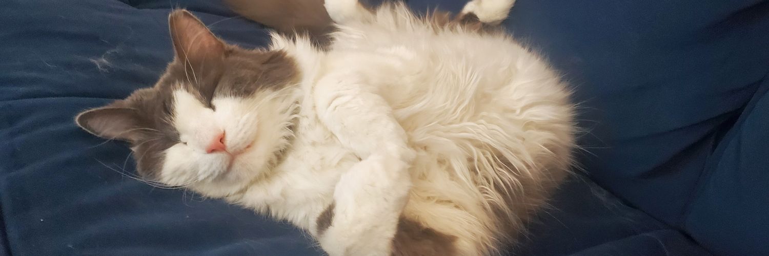 ezzyrene52's profile banner image