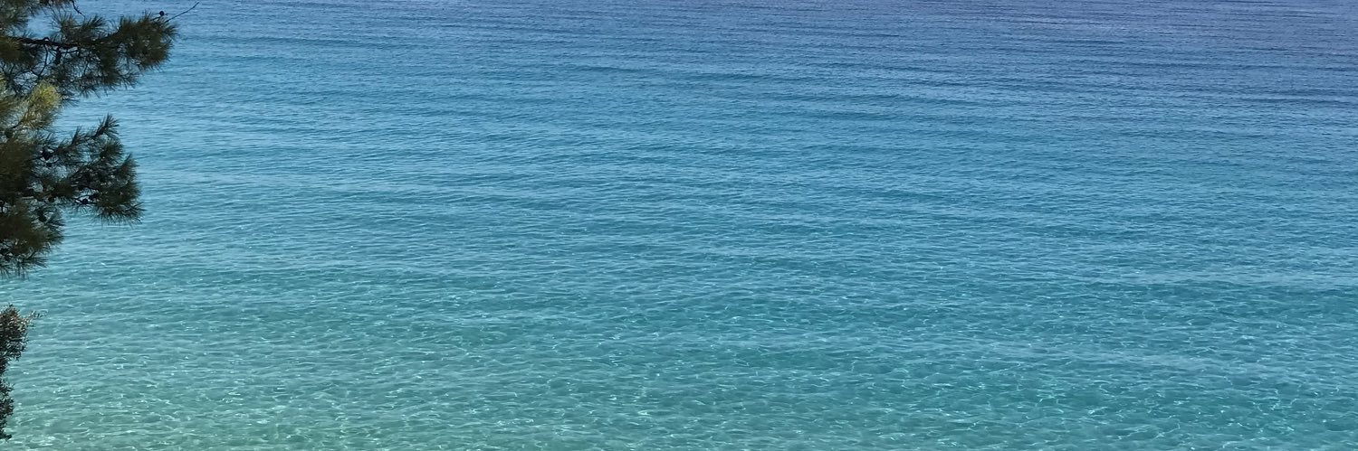 BilgeeKagan's profile banner image