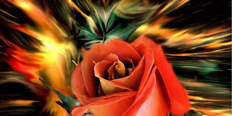 depremcan's profile banner image