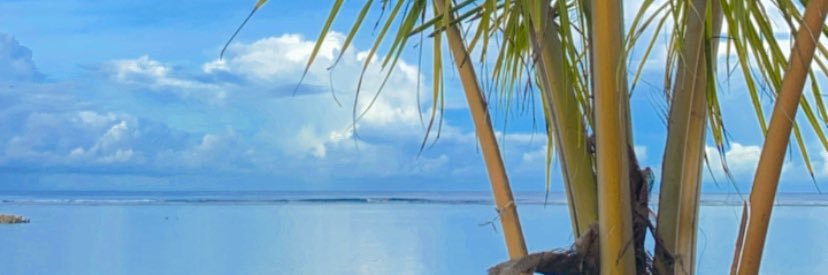 Wina_Ns's profile banner image
