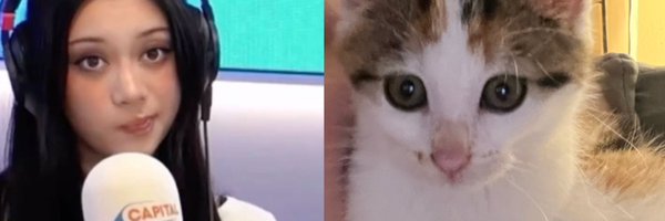 oczykota Profile Banner