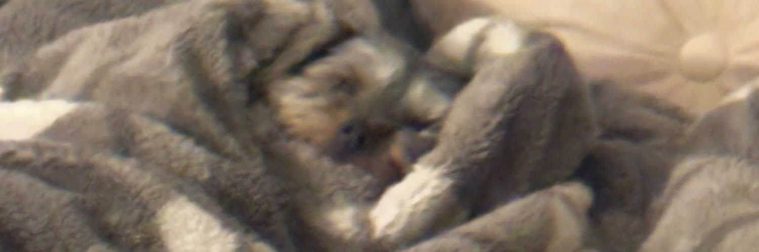 cufflovehandles's profile banner image