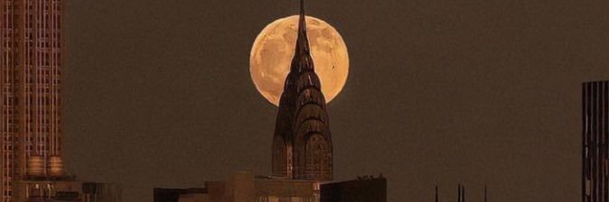 Gross ahh dog banner