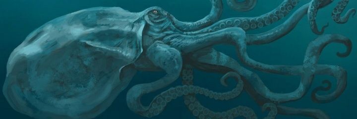 llealb's profile banner image