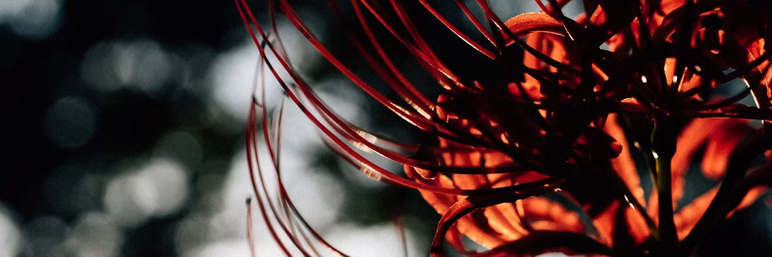 FirebirdsFervor's profile banner image