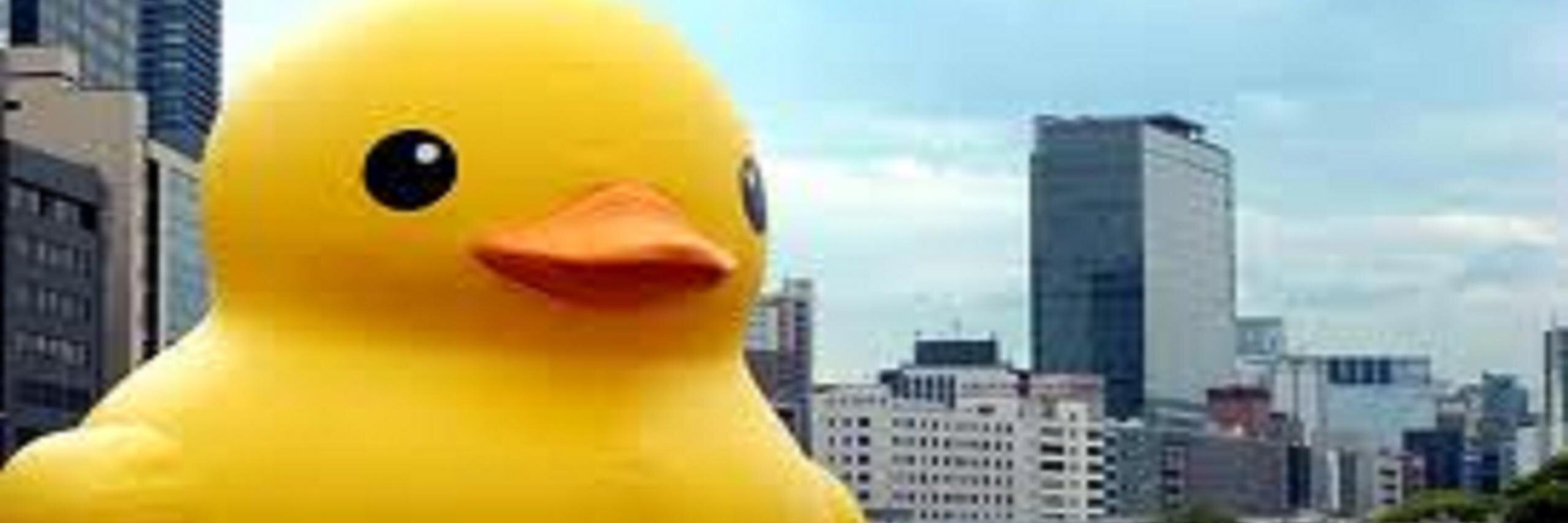 JJPEPP's profile banner image