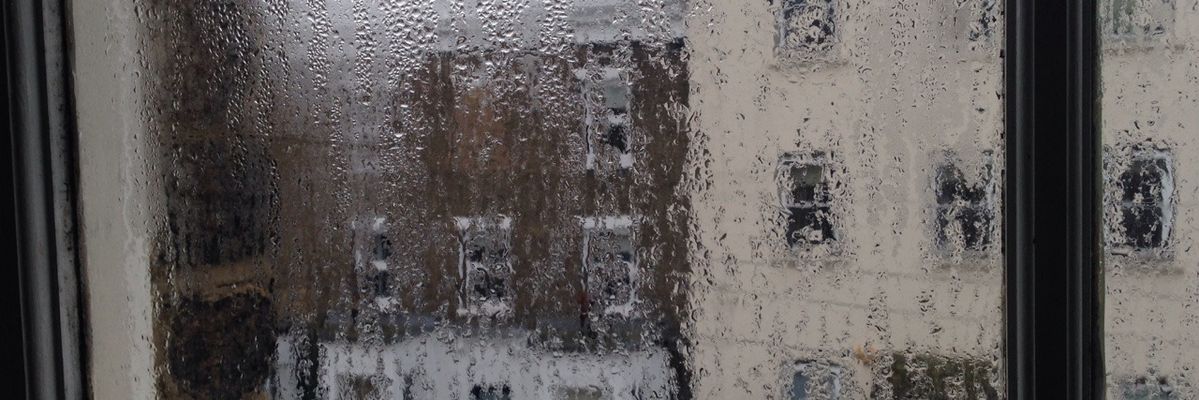 _mamocamu's profile banner image
