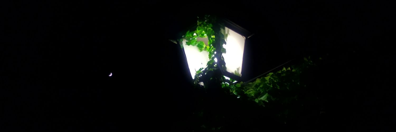 Isabeldzp's profile banner image