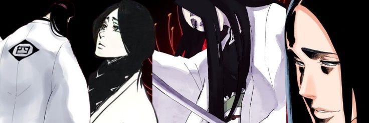 卯ノ花 八千流 banner