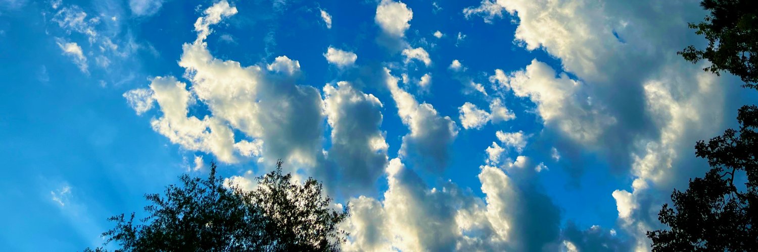 EveDestiny's profile banner image