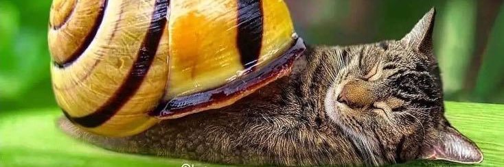 2slimey x osprey fanfic banner