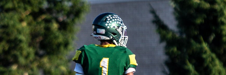 Ethan S. Ferguson banner