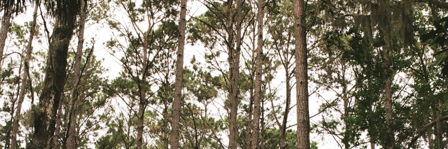 randy 🪲 banner