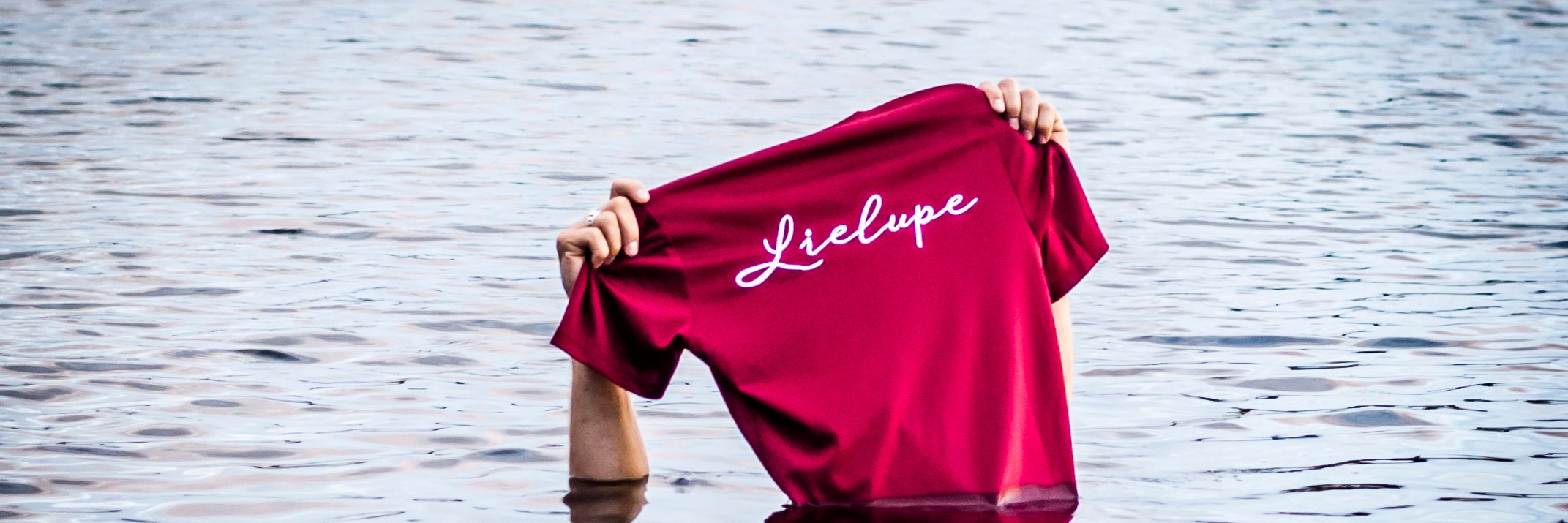 TDALielupe's profile banner image
