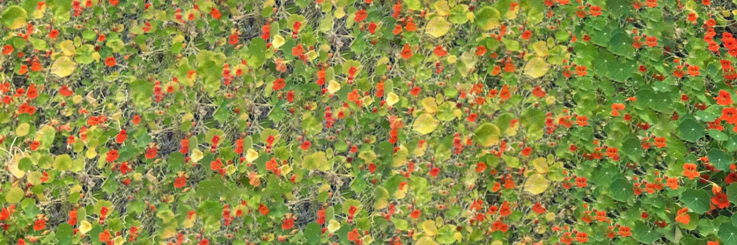 Prinze George banner