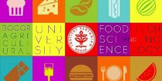 ITP IPB 50 banner