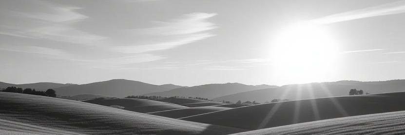 Trader Casper banner