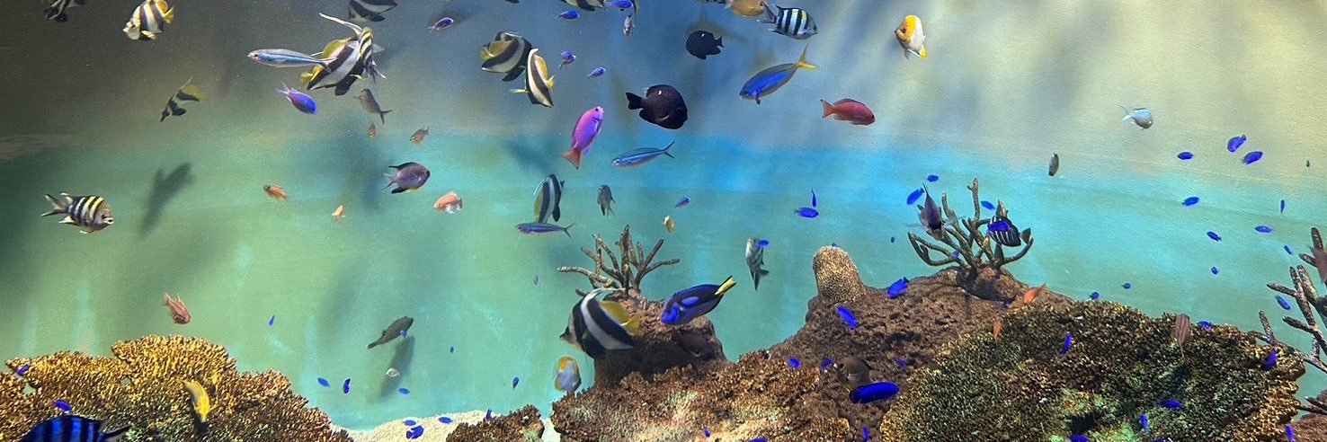 阿妻 紫🥀𓈒𓂂𓇬 banner