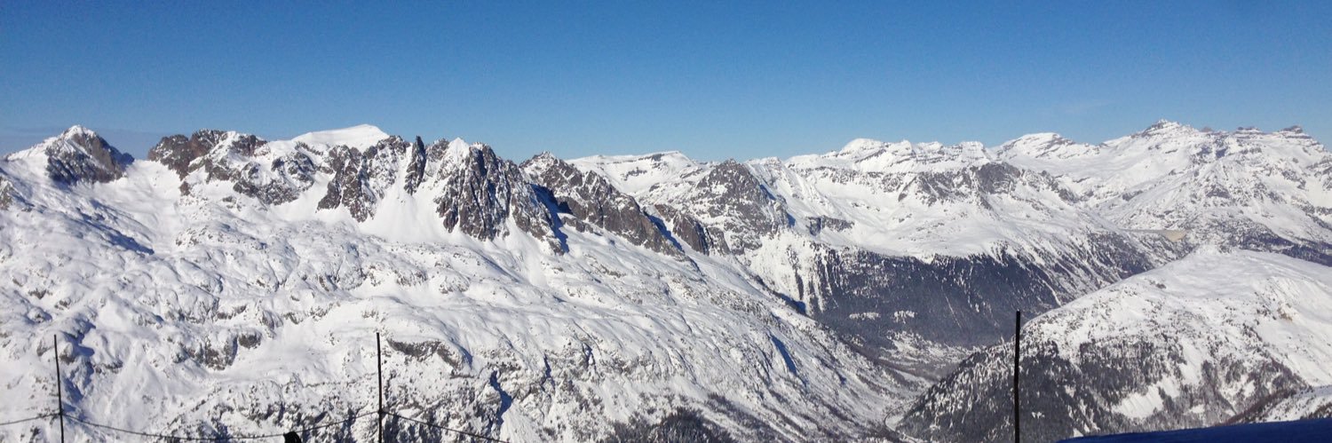 Louis Bertucci banner