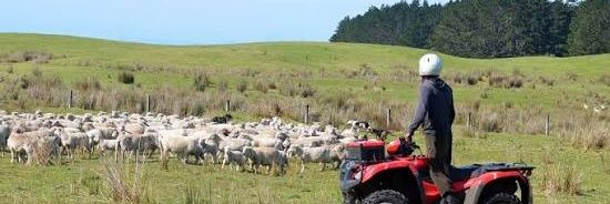 Dr Tosh McFarland banner