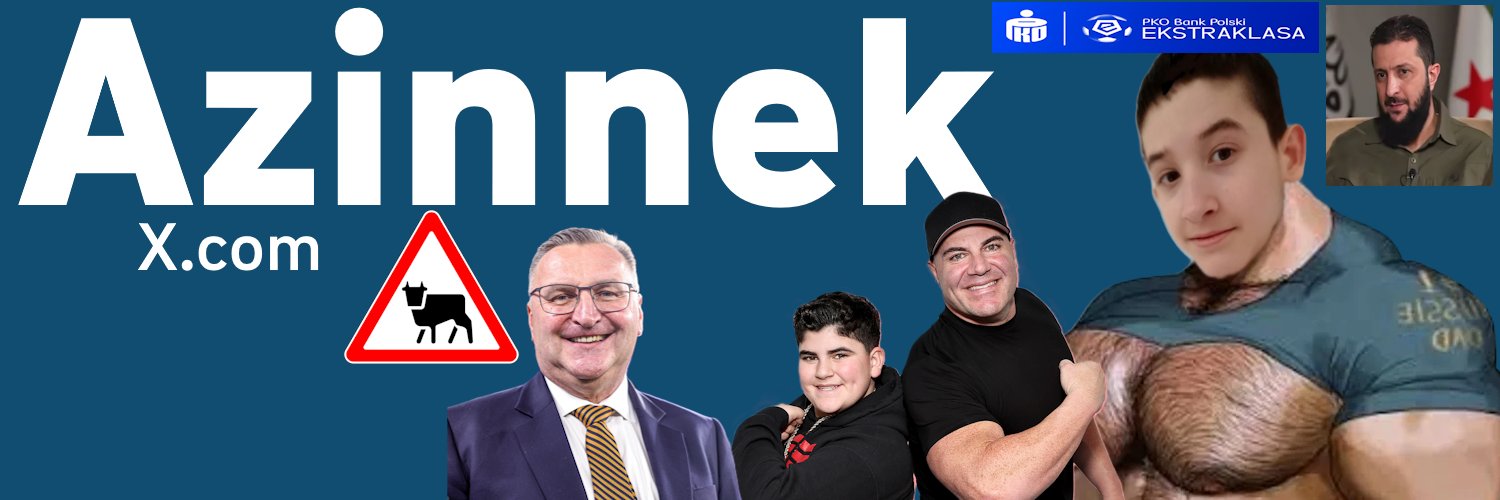 azinnek's profile banner image