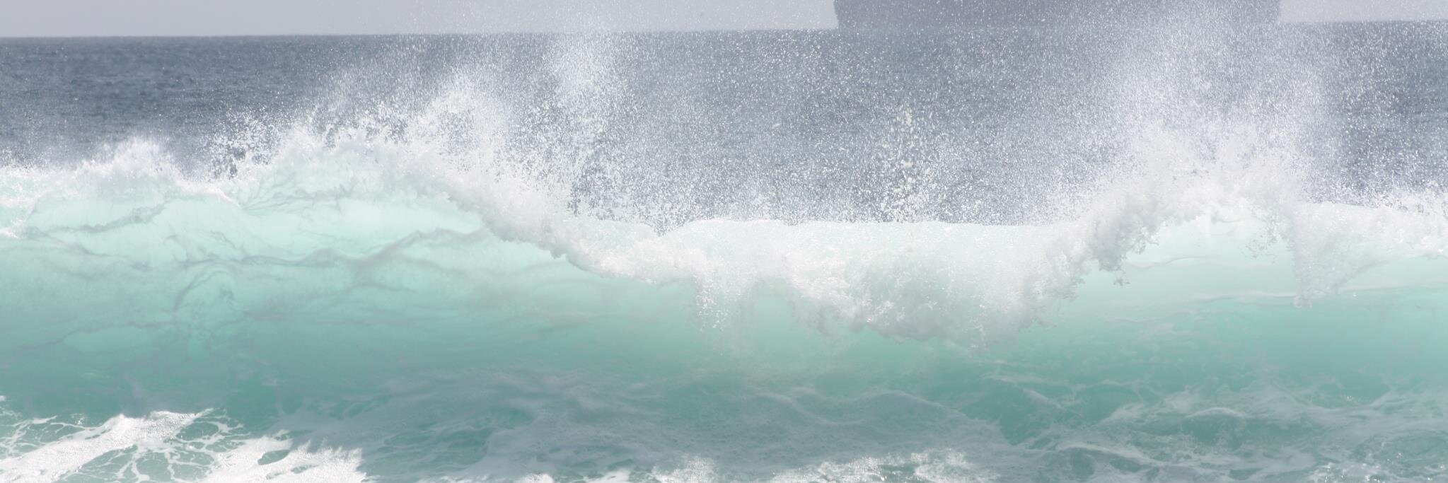 Jonathan Becker banner