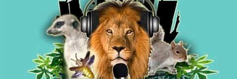 ciudadanimalok's profile banner image