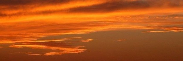 plumedicaro's profile banner image
