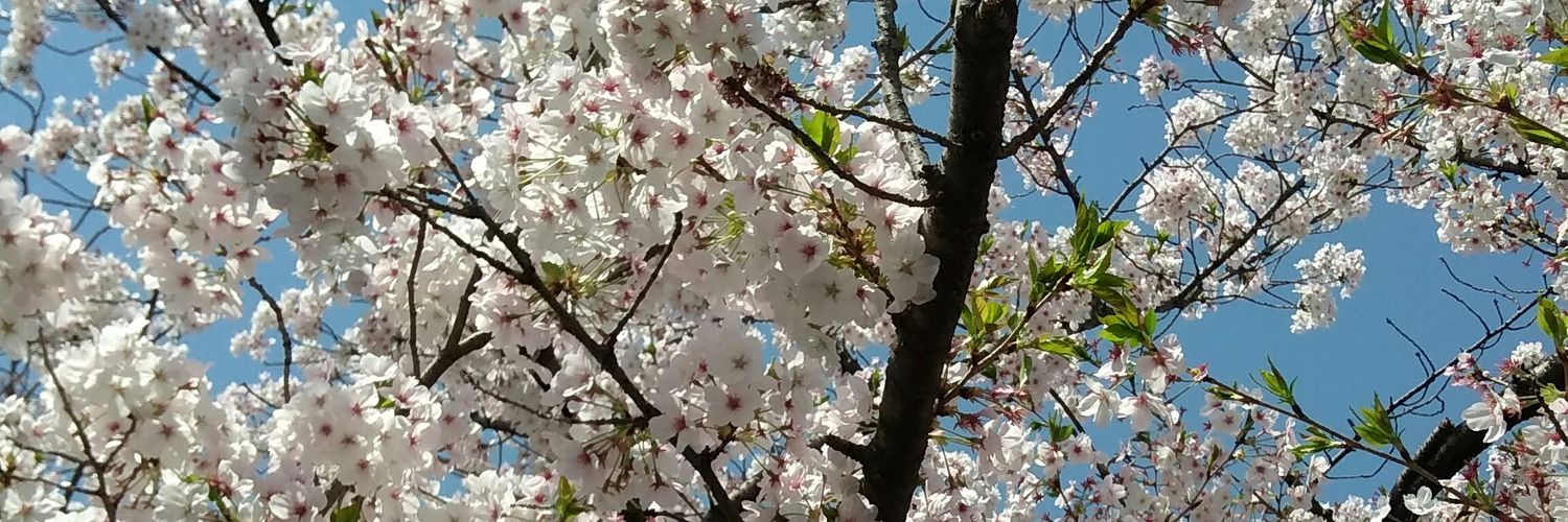 タカヒロ banner