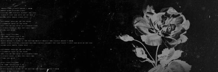 QuietOrde_'s profile banner image