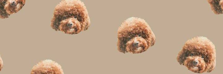 shu_flabby's profile banner image