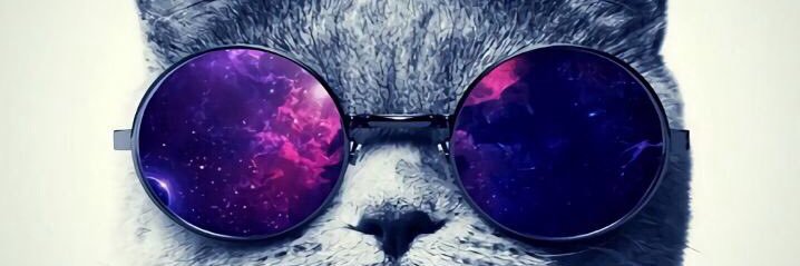 cepiwkwk's profile banner image