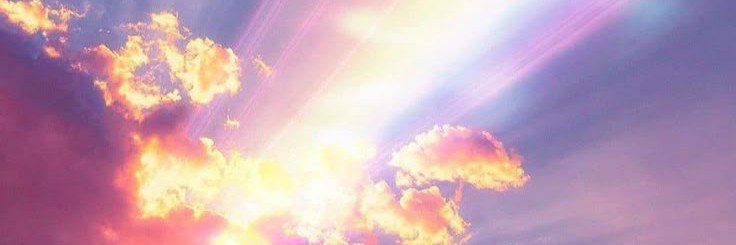 SuchSuchi179225's profile banner image