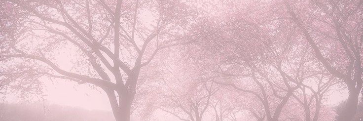⋆.˚ ᡣ Lucy 𝜗𝜚 banner