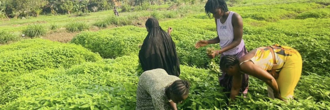 Women’s Health Organization banner