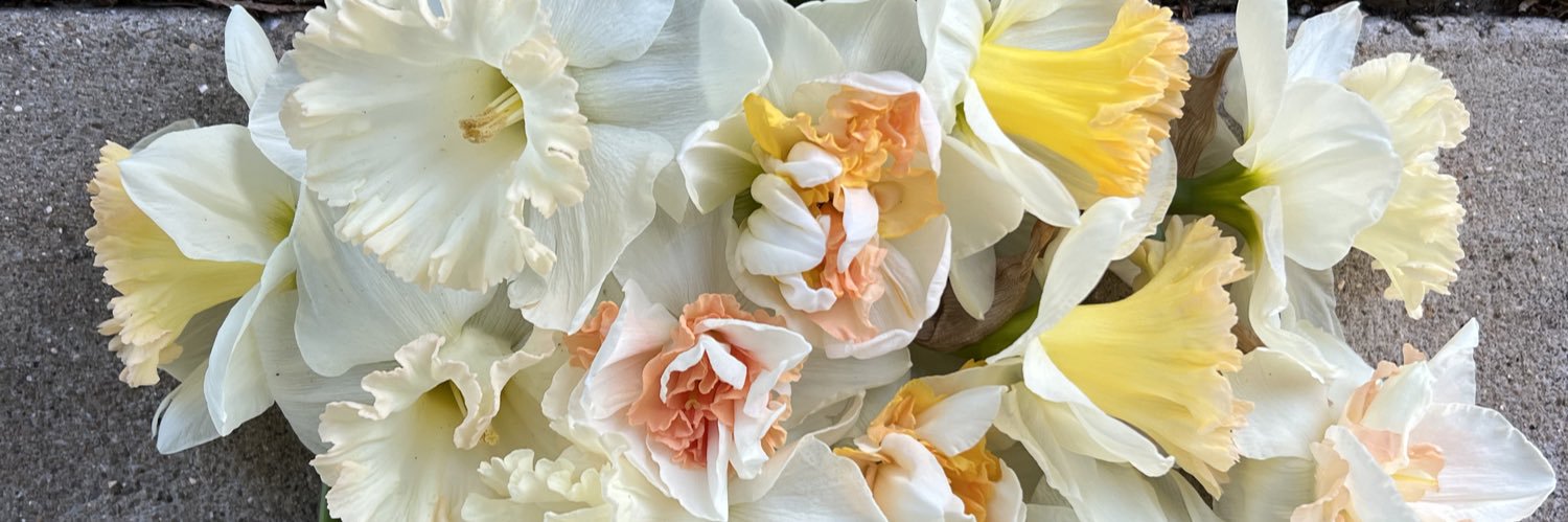 Sarah Moses banner