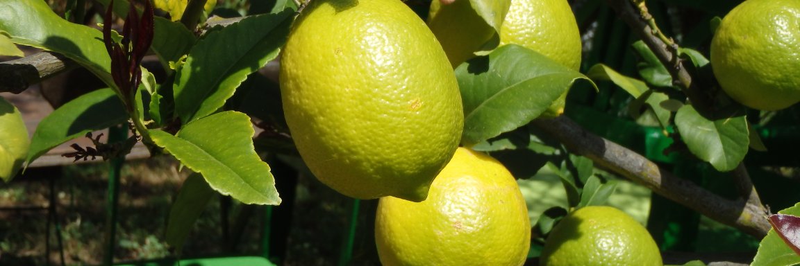 maritklapwijk's profile banner image
