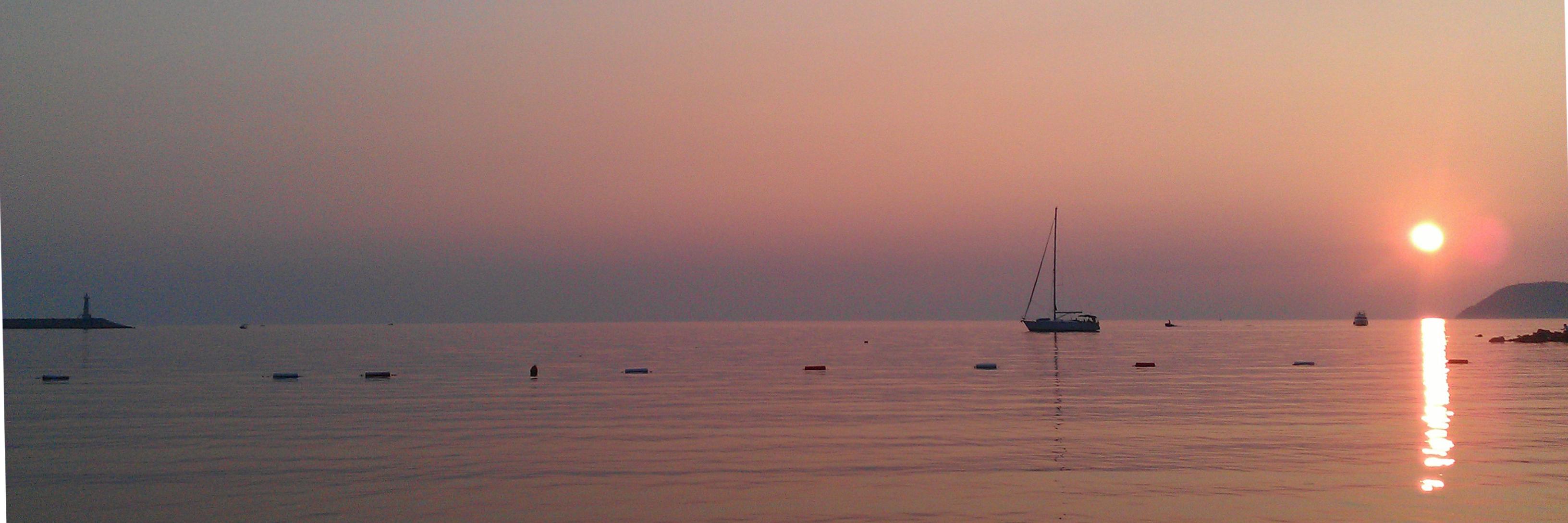 LekovicMilos's profile banner image