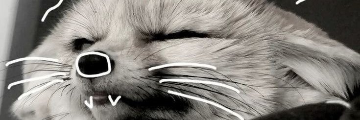 wer_001x's profile banner image