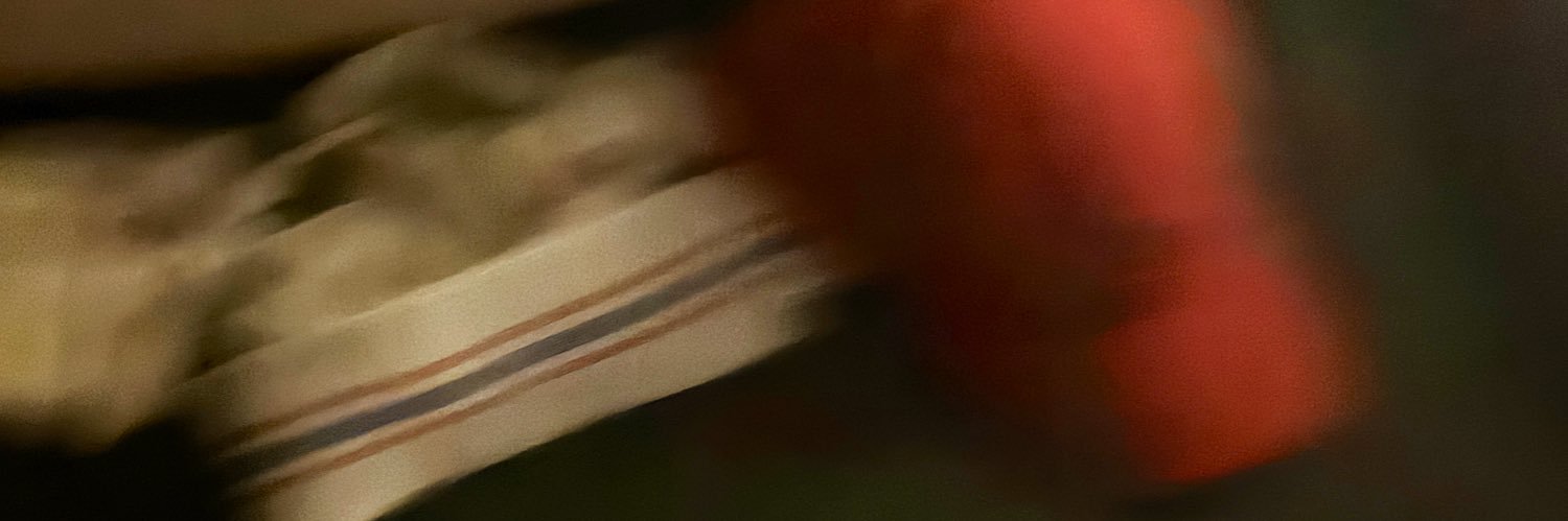 hornyboyy banner