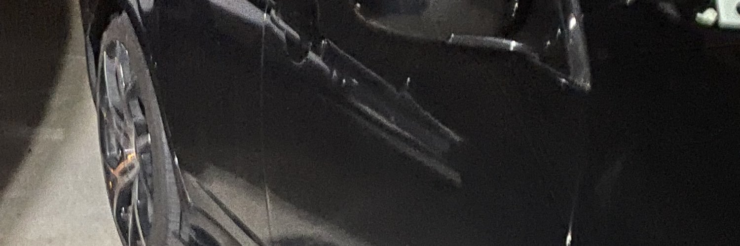 boldbeena banner