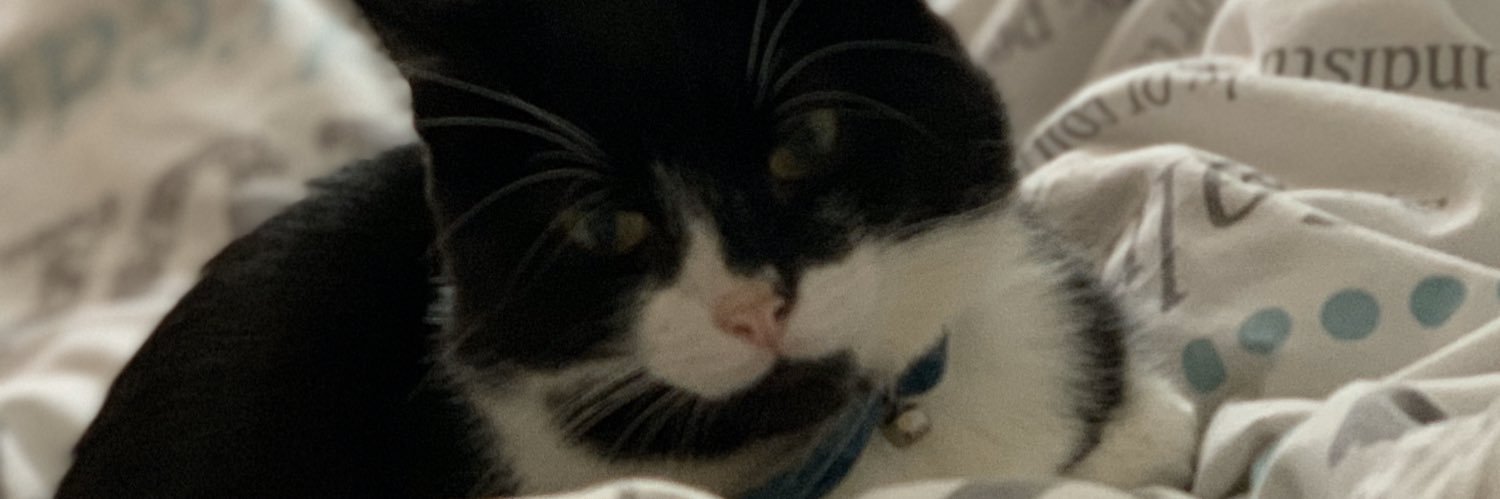 Dervishdaughter banner