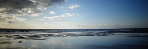 misstanguy Profile Banner