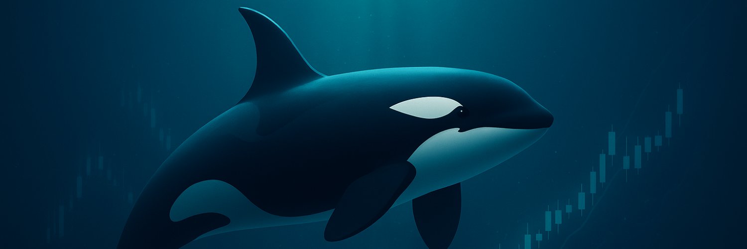 Orca Mindset banner
