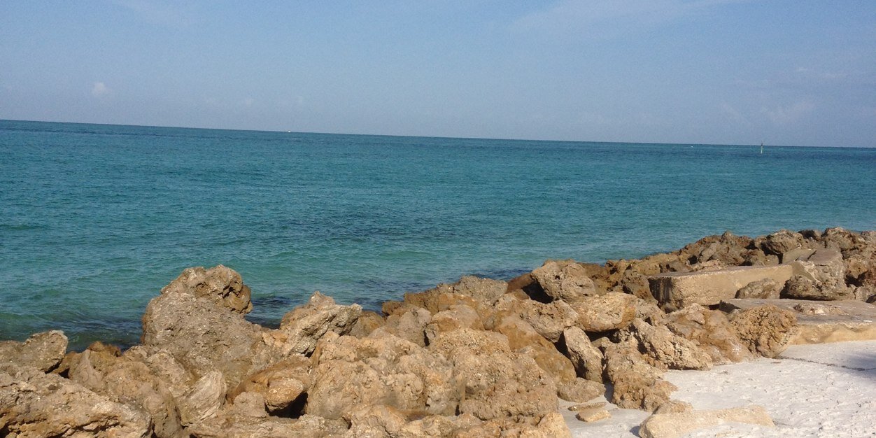 SusanDalesandro's profile banner image