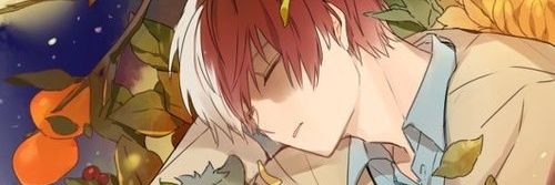 aki_div's profile banner image