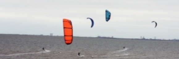 bear_tanner's profile banner image